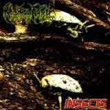 Nyctophobic - Insects